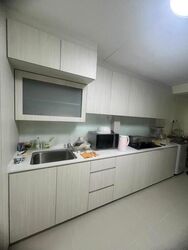 toa-payoh-palm-spring photo thumbnail #6